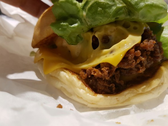 wp-1471749605958 image